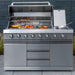 Absolute 6 Burner Front View BBQ With Food