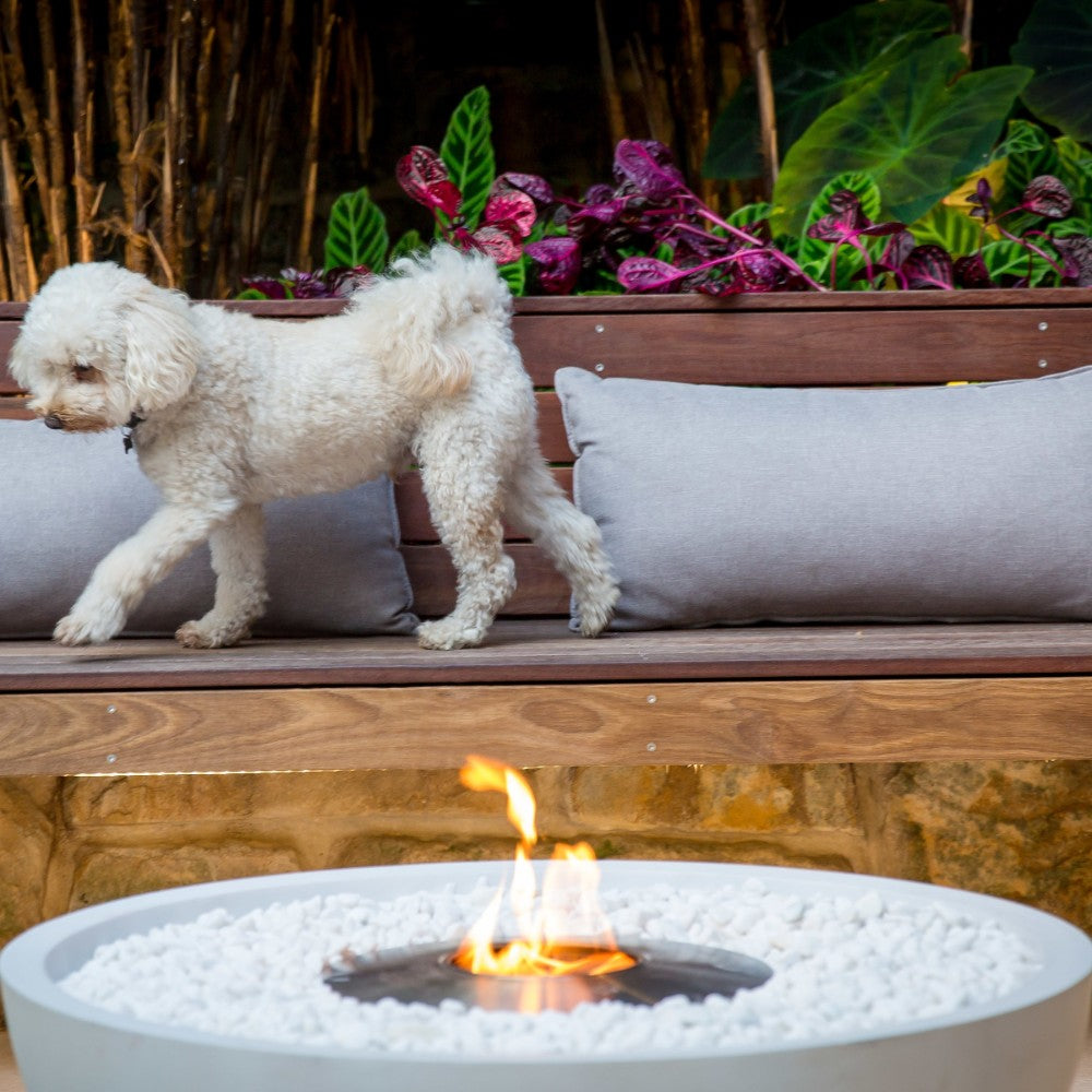 EcoSmart Fire Mix 850 Fire Pit with Dog